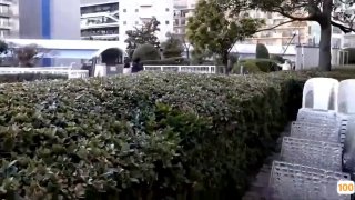 小胖哥高档酒店约炮制服黑丝美女 先用跳蛋相互玩一玩热热身再开操 完美露脸